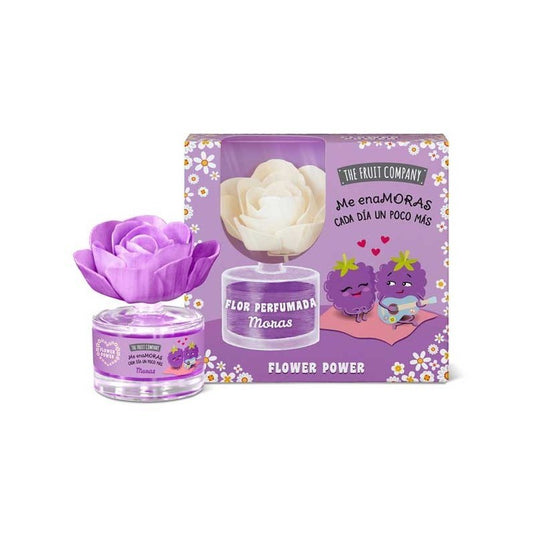 COFFRET FLEUR MIKADO THE FRUIT COMPANY