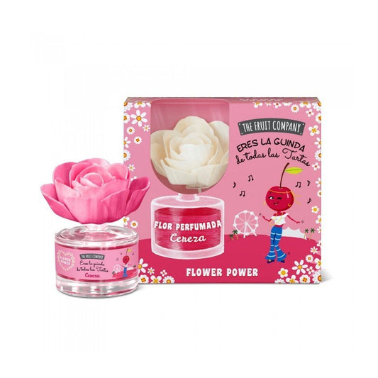 COFFRET FLEUR MIKADO THE FRUIT COMPANY CERISE