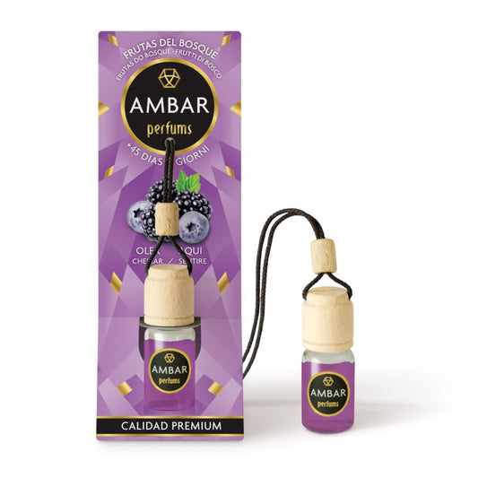 DÉSODORISANT VOITURE AMBAR FRUITS DES BOIS